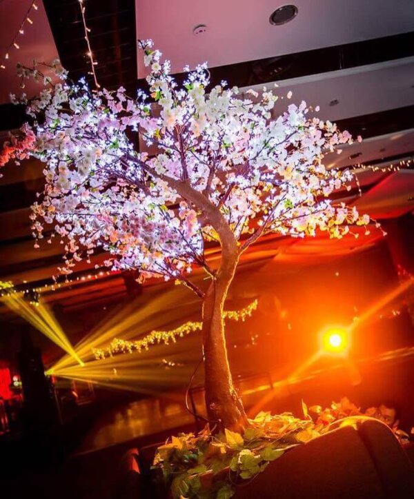 school-balls-led-tree Cherry Blossom Tree Ball