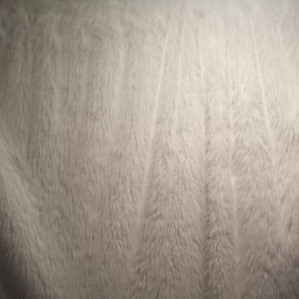 white fur backdrop