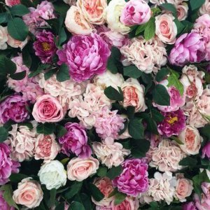 candy flower wall