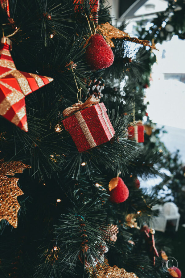 Covers Showroom at Christmas