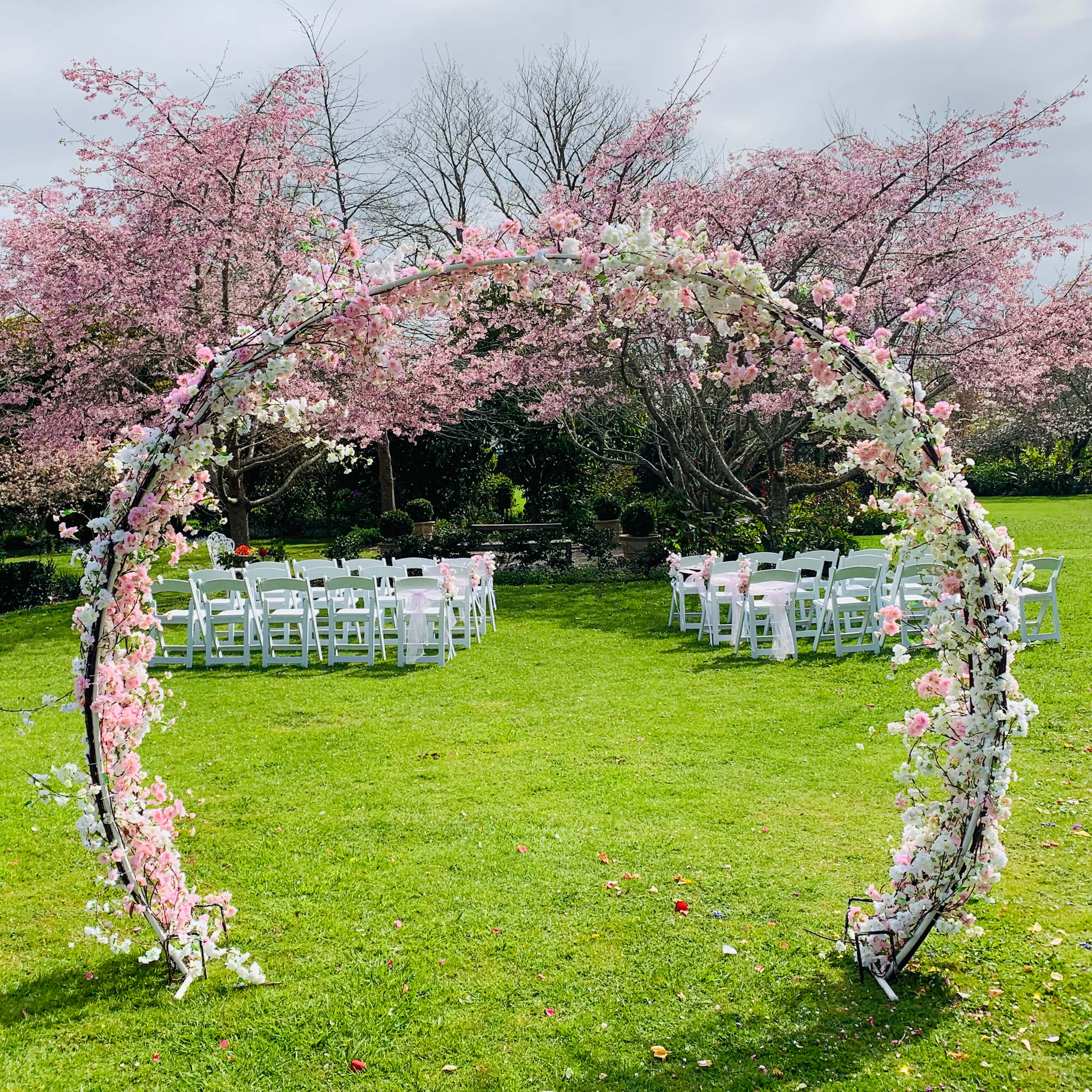 Cherry Blossom Ceremony